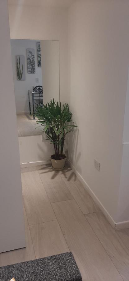 Coqueto Loft Palermo Hollywood Lejlighed Buenos Aires Eksteriør billede